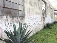 Big booty Latina Angelina Photoshoot | Naked Hustlers