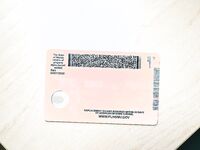 Alix Avery braid photoshoot | Pornsnaps