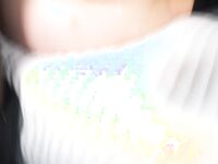 Big Pawg Ass covered in CUM | PORNSNAPS