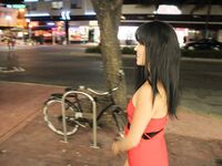 Paola Vega Sucks Big dick in South beach Alley | Porn Snaps