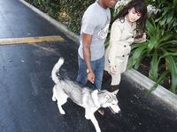 Oxuanna Envy big white ass Pawg | Porn Snaps