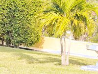 Ebony JAYLA FOXX lost files | Porn Snaps