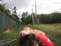 Lifeguard on DUTY SUCKING DICK in Miami | Porn Snaps