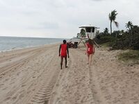 Lifeguard on DUTY SUCKING DICK in Miami | Porn Snaps