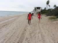 Lifeguard on DUTY SUCKING DICK in Miami | Porn Snaps