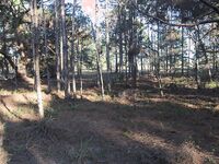 Ginger Teen Sucking Leprechaun dick | Porn Snaps