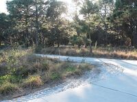 Ginger Teen Sucking Leprechaun dick | Porn Snaps