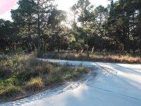 Ginger Teen Sucking Leprechaun dick | Porn Snaps