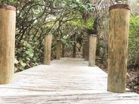 Sexy Pawg Princess on the Beach | Porn Snaps