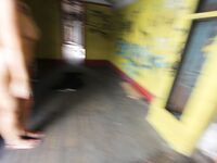 Ryan Smiles: Buffalo Bill’s Granddaughter Takes Jodie on a Private Train Tour | Porn Snaps