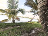 Sophia Steele: A Beautiful Moment of Pleasure on a Public Park Bench