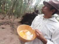 The Origins of Thanksgiving: A Peace Treaty in the Woods | Porn Snaps