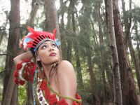 The Origins of Thanksgiving: A Peace Treaty in the Woods | Porn Snaps