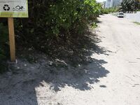 Sophia Steele’s South Beach Adventure: A Chance Meeting | Porn Snaps