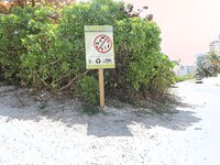 Sophia Steele’s South Beach Adventure: A Chance Meeting | Porn Snaps