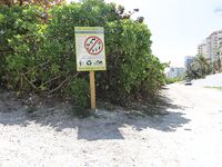 Sophia Steele’s South Beach Adventure: A Chance Meeting | Porn Snaps