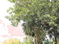 Sucking 2 Dicks A Day to Remember in Homestead | Porn Snaps