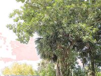 Sucking 2 Dicks A Day to Remember in Homestead | Porn Snaps