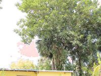 Sucking 2 Dicks A Day to Remember in Homestead | Porn Snaps