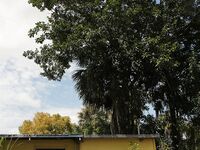 Sucking 2 Dicks A Day to Remember in Homestead | Porn Snaps