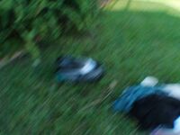 Latina Mia Hernandez Fucking outdoors Photoset | Porn Snaps