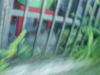 Latina Mia Hernandez Fucking outdoors Photoset | Porn Snaps