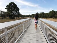 Pretty Little bitch with a Phat Ass | Porn Snaps