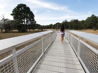 Pretty Little bitch with a Phat Ass | Porn Snaps