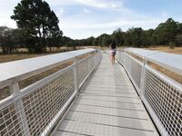 Pretty Little bitch with a Phat Ass | Porn Snaps