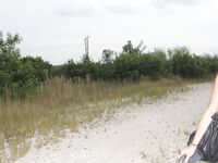 Public Masturbation with Elisa | Porn Snaps