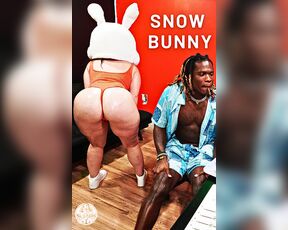 BBC & The Snow Bunny